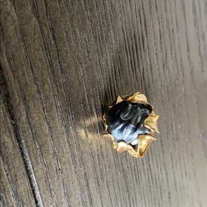 Gaudy black Pearl ring